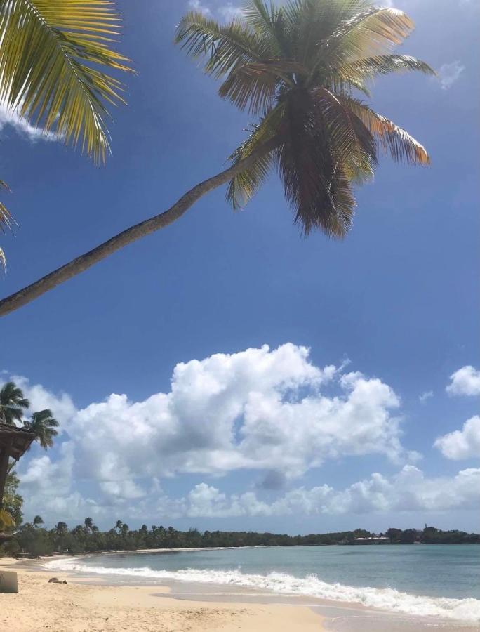 Couleur Caraibes-Cocobeach Martinique Pierre Et Vacances Sainte-Luce Exterior foto