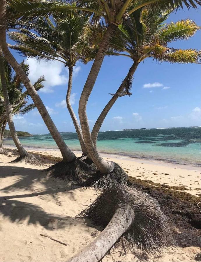 Couleur Caraibes-Cocobeach Martinique Pierre Et Vacances Sainte-Luce Exterior foto