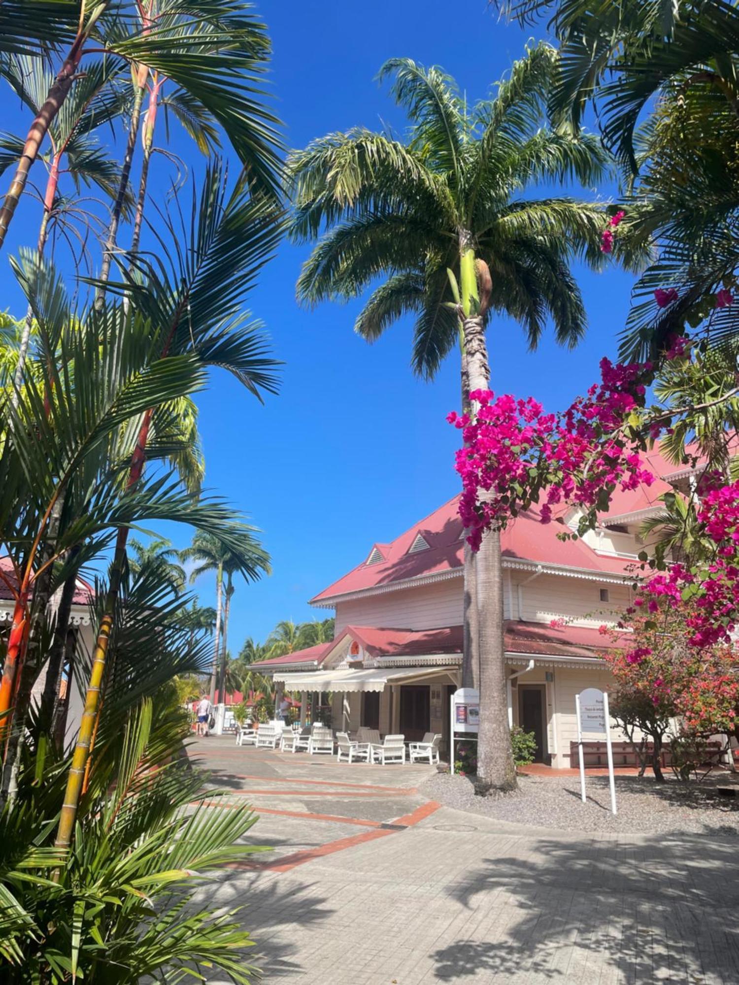 Couleur Caraibes-Cocobeach Martinique Pierre Et Vacances Sainte-Luce Exterior foto