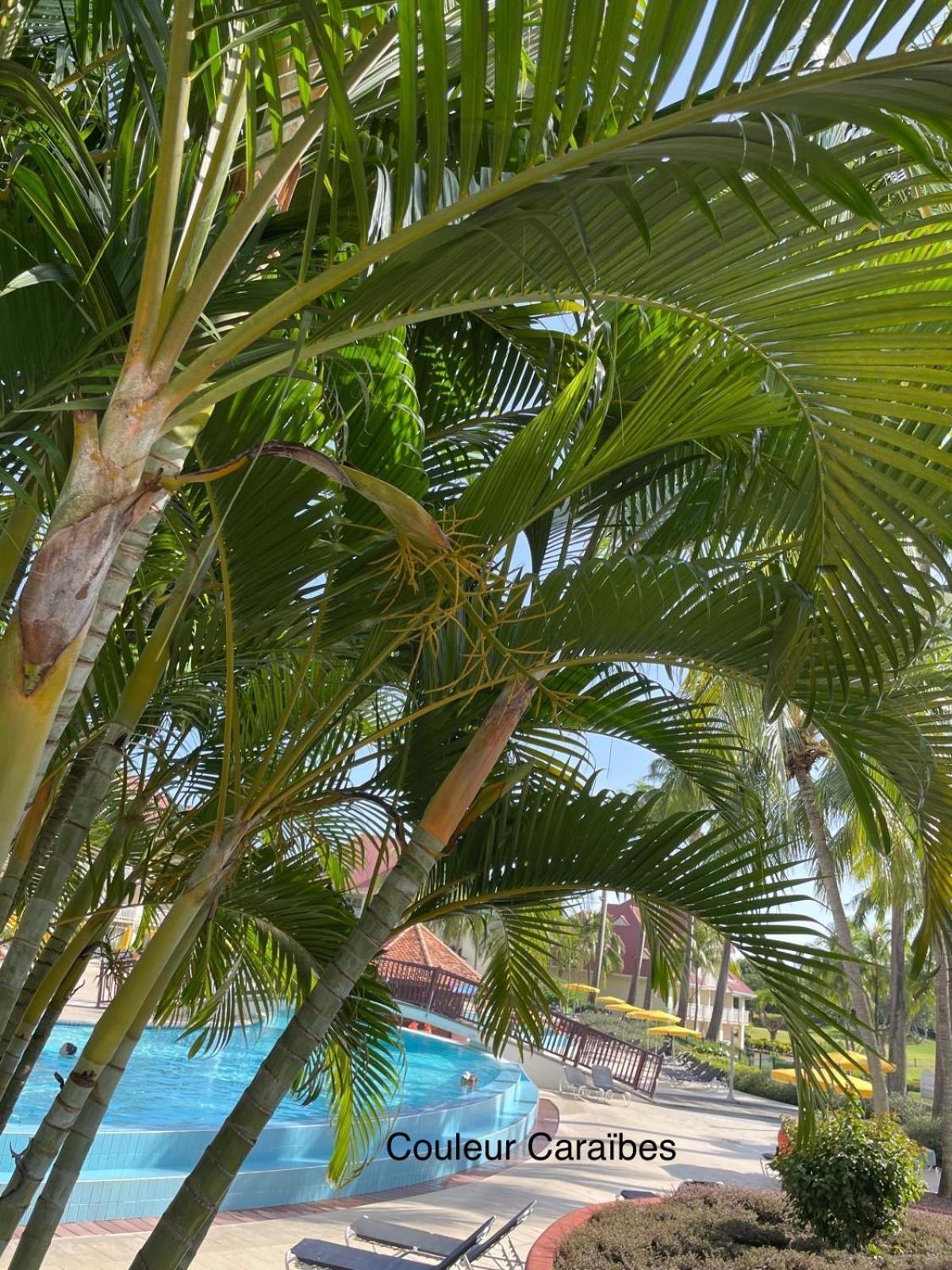 Couleur Caraibes-Cocobeach Martinique Pierre Et Vacances Sainte-Luce Exterior foto