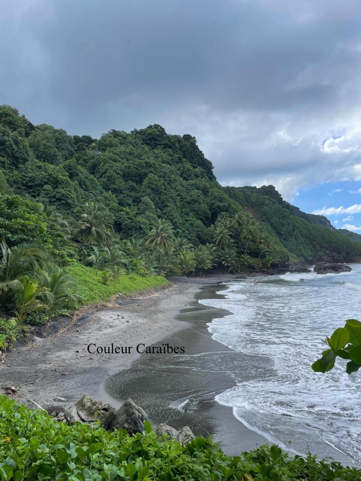 Couleur Caraibes-Cocobeach Martinique Pierre Et Vacances Sainte-Luce Exterior foto